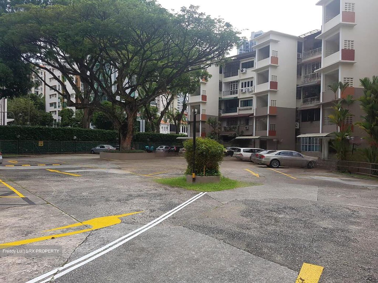 Valley Mansion (D9), Apartment #455245921